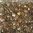 Rocailles, Farfalle, 6 mm, mit Goldeinlage