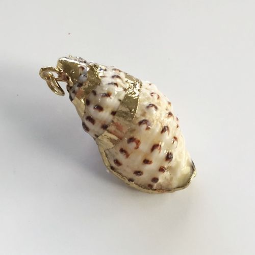 Muschel mit Goldverzierungen, ca. 30 mm
